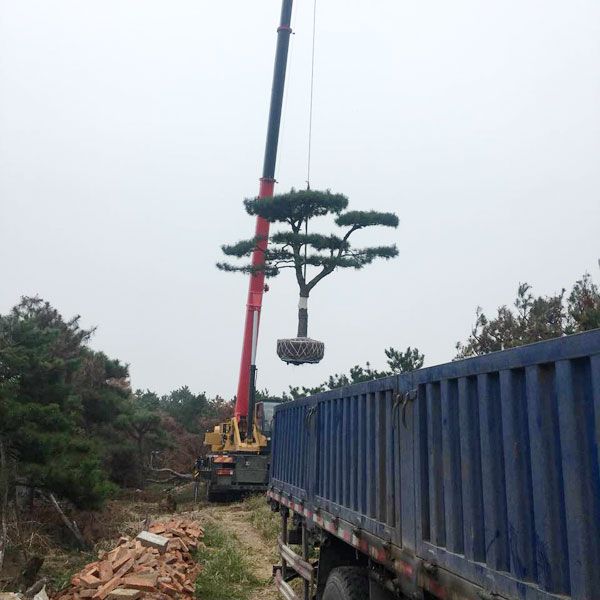 裝車(chē)現(xiàn)場(chǎng)