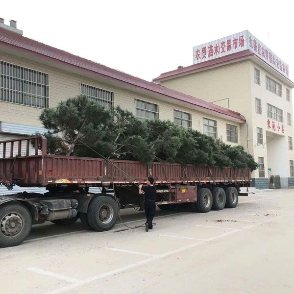 裝車(chē)現(xiàn)場(chǎng)
