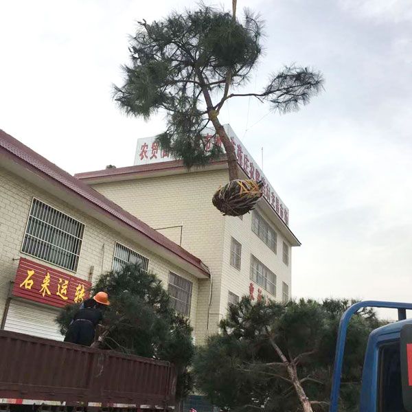 裝車(chē)現(xiàn)場(chǎng)