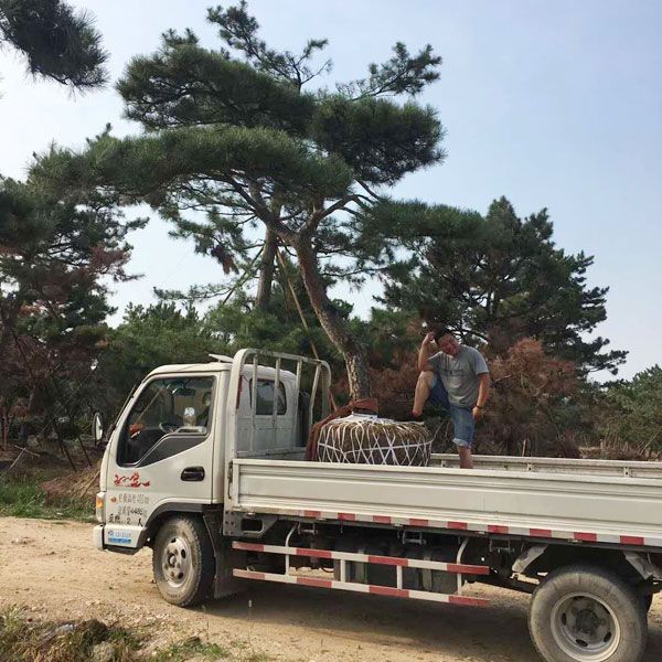 裝車(chē)現(xiàn)場(chǎng)