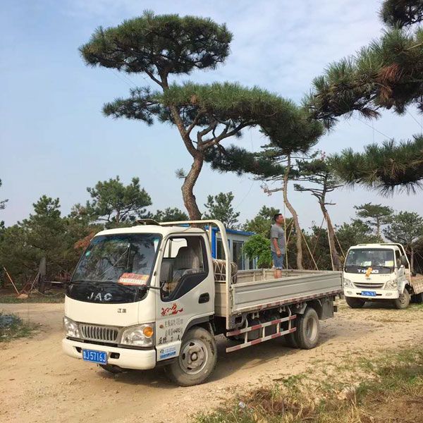 裝車(chē)現(xiàn)場(chǎng)
